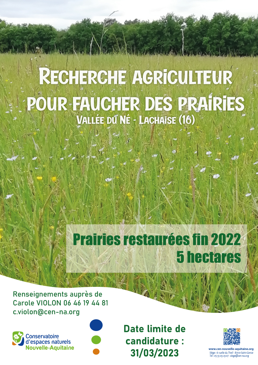 Affiche appel à candidature